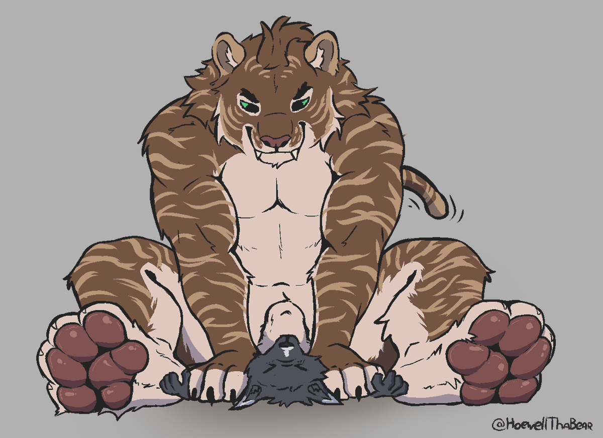 pawlar bearrr 🐾 tweet media