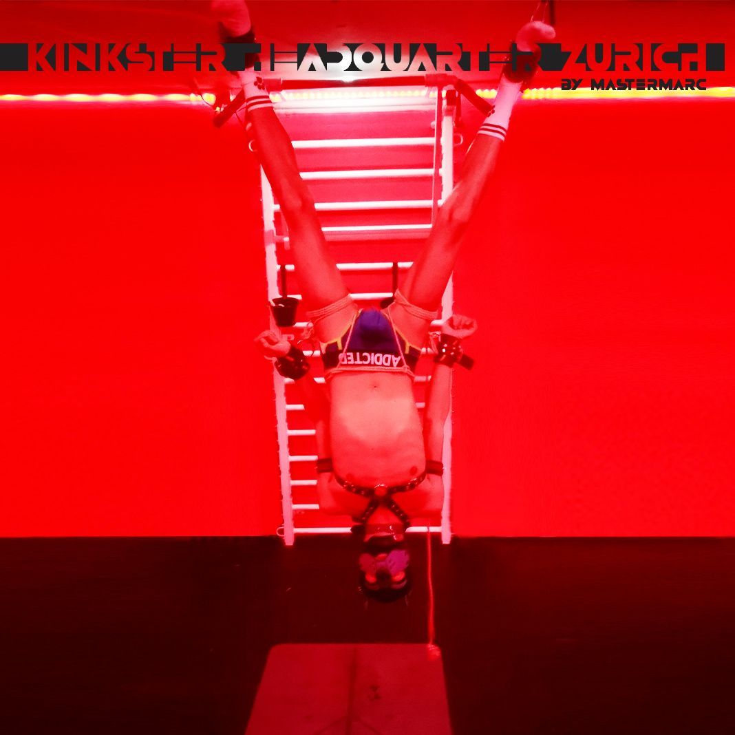 House of MasterMarc tweet media