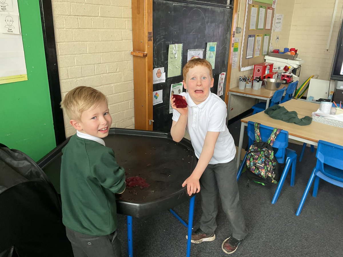 Girvan Primary tweet media