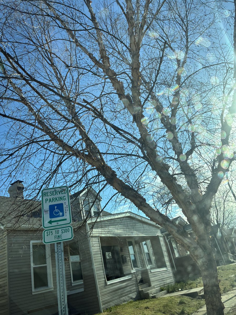 CarnageSTL tweet media