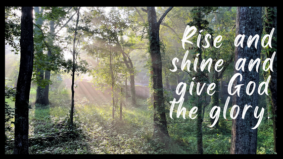 Dottie Lovelady Rogers tweet media