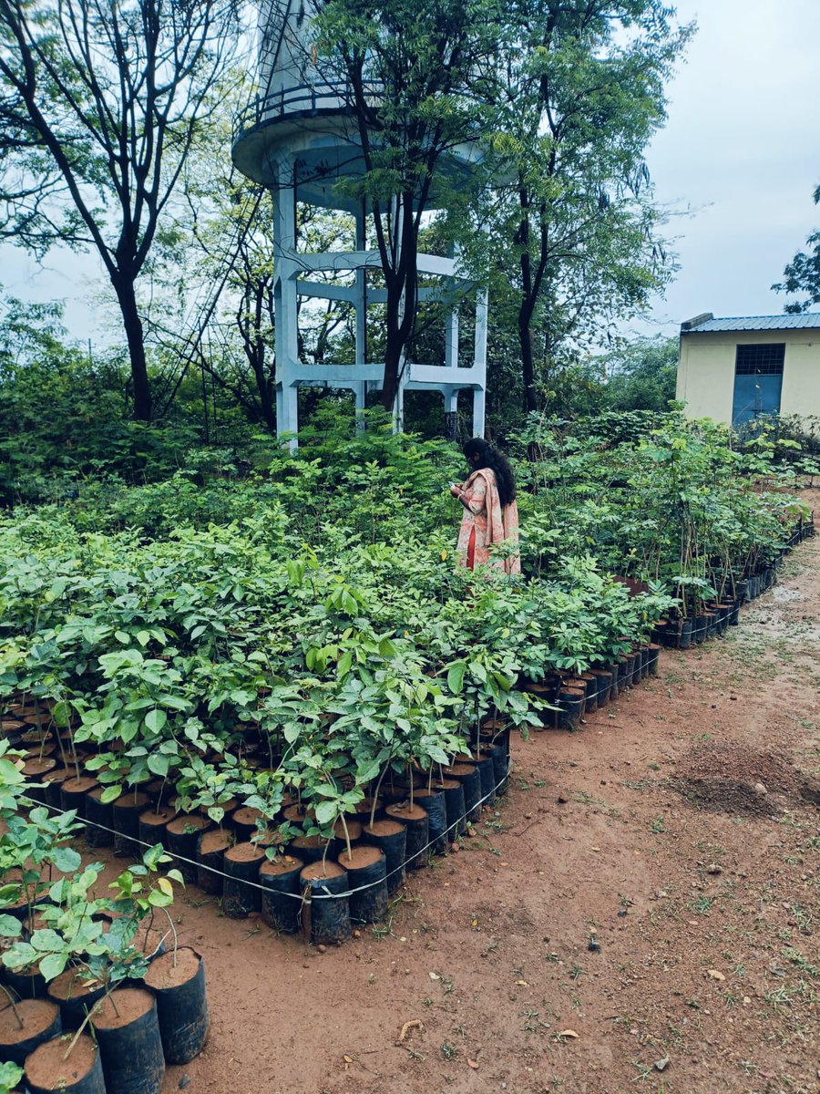 devaki devi tweet media