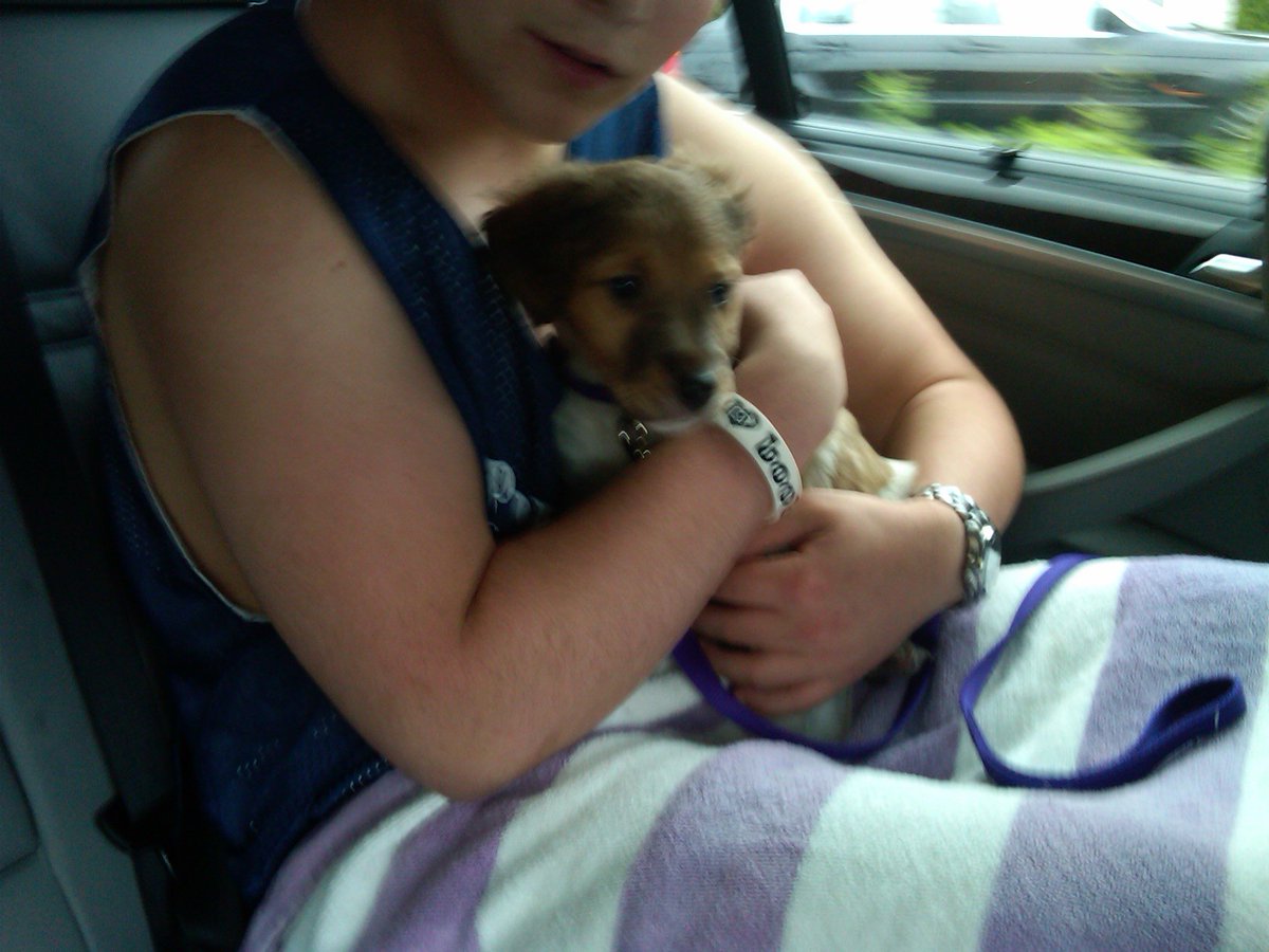 Jake Chatzky tweet media