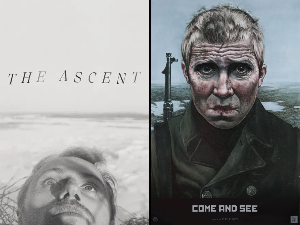 Mike David tweet media