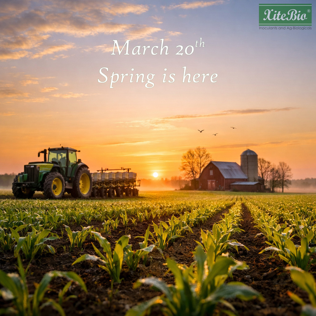 XiteBio Technologies tweet media