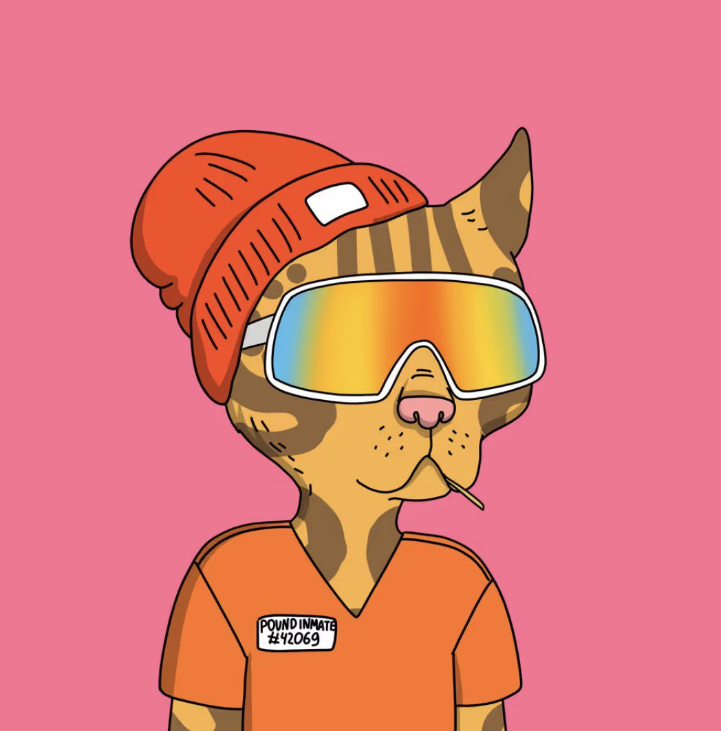 ÐårkWê§.ê†h 🦍 tweet media