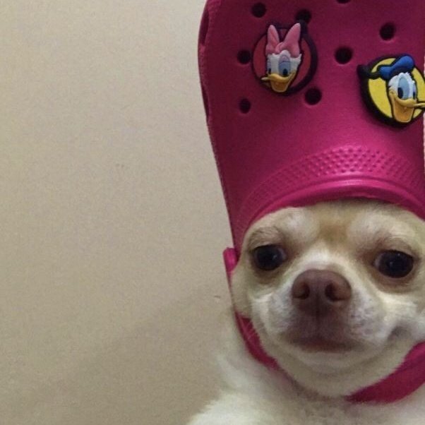 search "fb" on my profile, that was how hard it took me to get to 3.4k followers na you know why you get pride