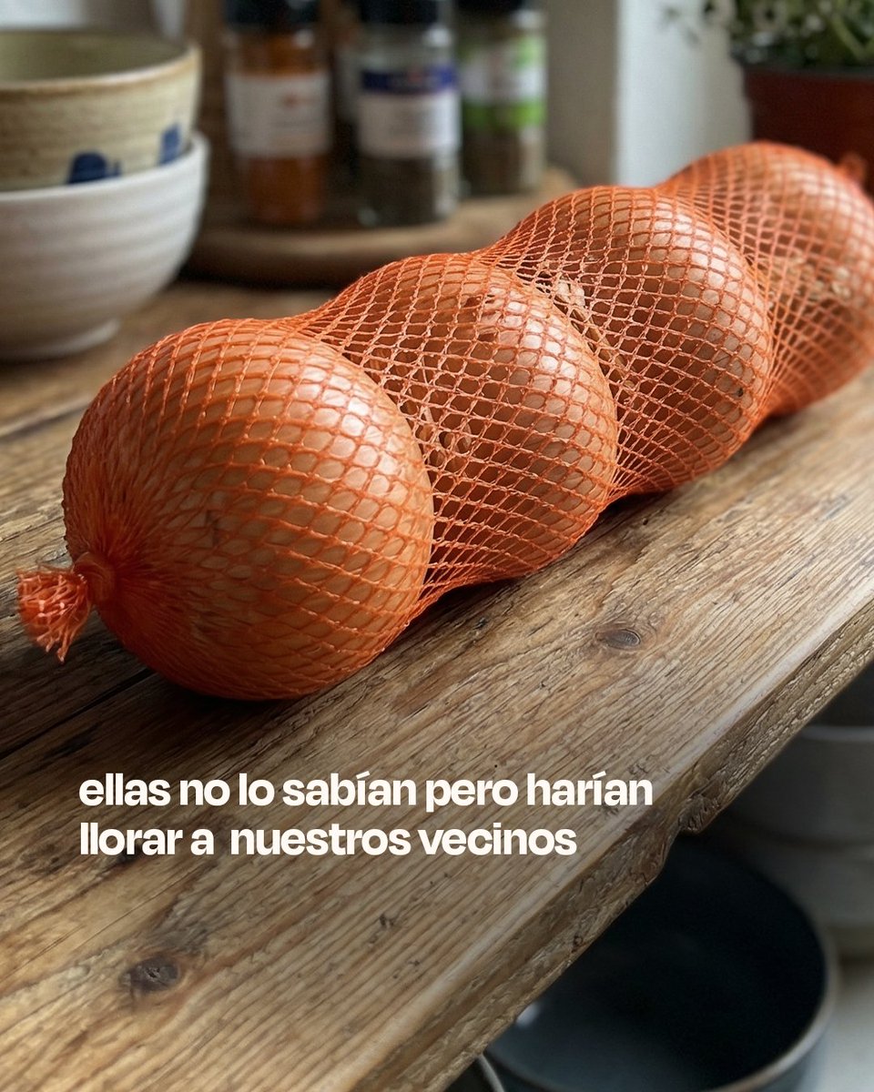 Lupa Supermercados tweet media