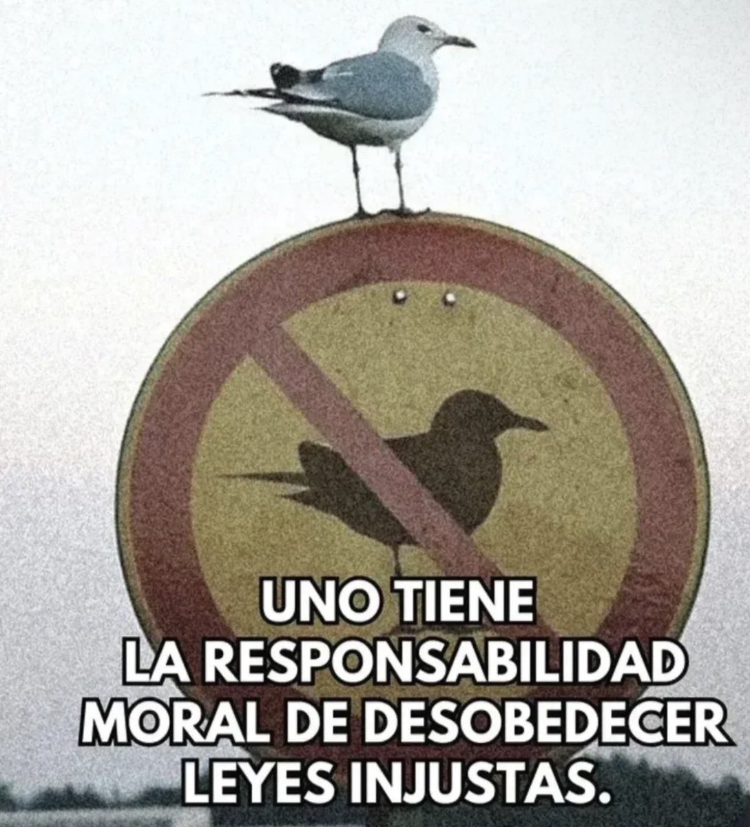 Don Ricardo Salinas Pliego tweet media