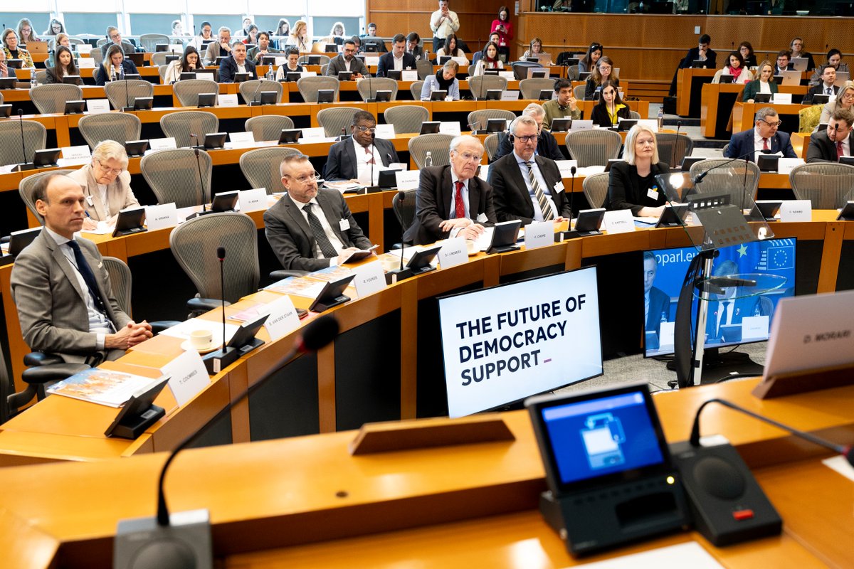 EP Democracy Support tweet media