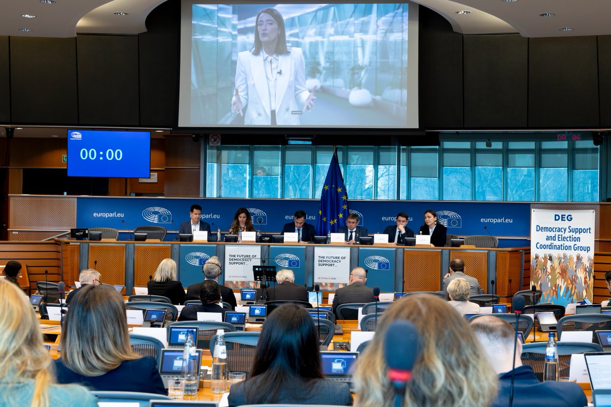 EP Democracy Support tweet media