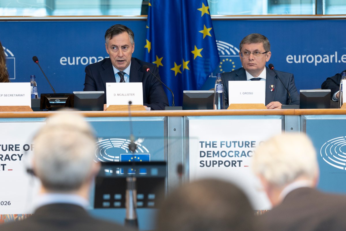 EP Democracy Support tweet media