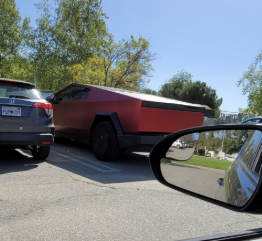 Brown Eyed Susan tweet media