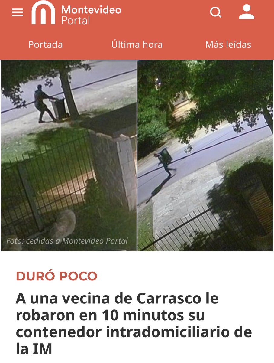 El Bagual bolso tweet media