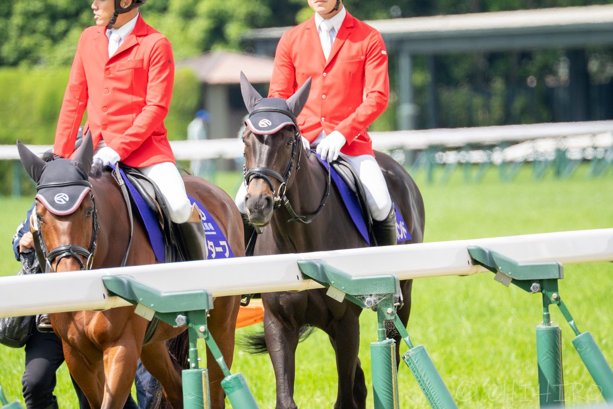 chihiro🐴 tweet media