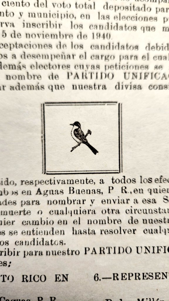 Young Skywalker tweet media