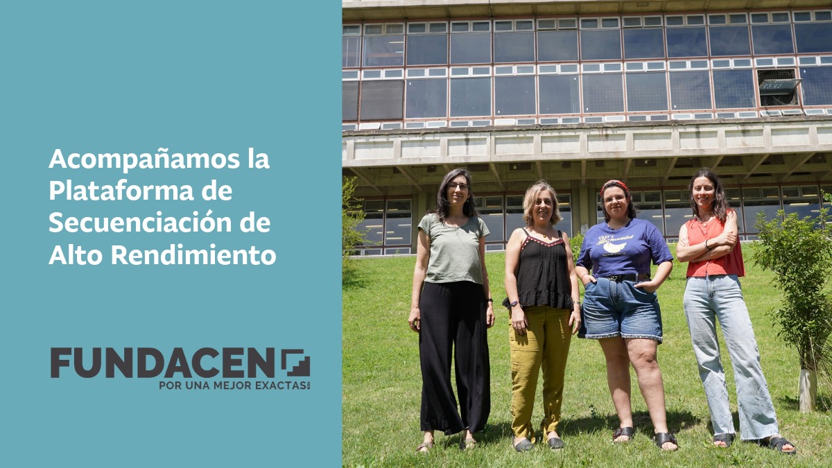 Fundacen tweet media