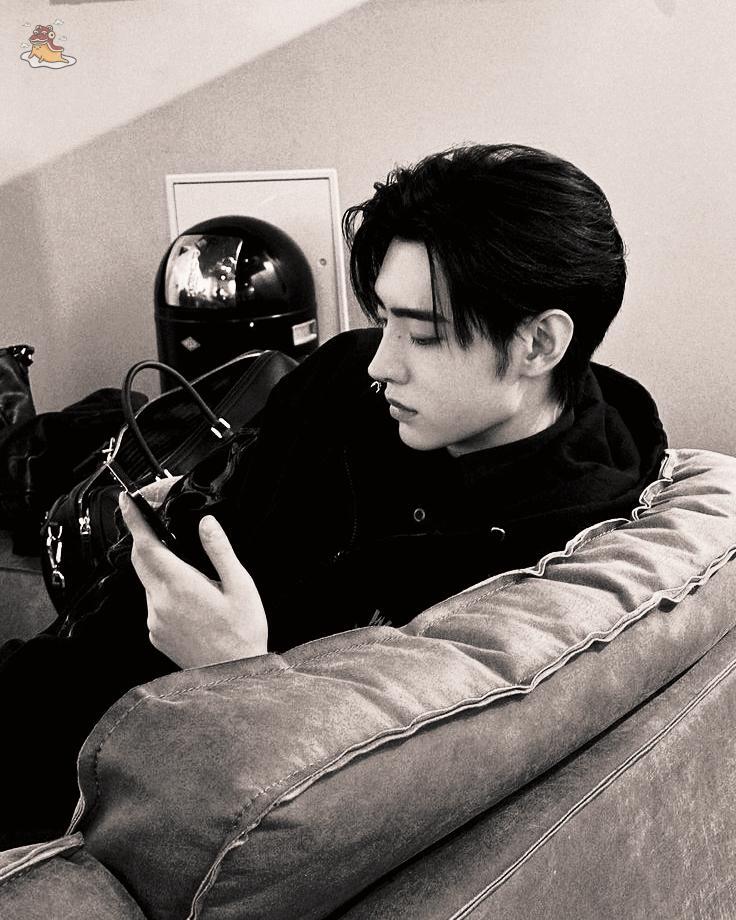 SOC-IE 💛 ˚☽˚.⋆ tweet media