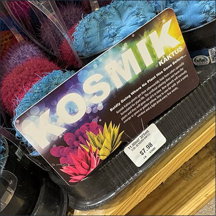 Fixtures Close Up tweet media