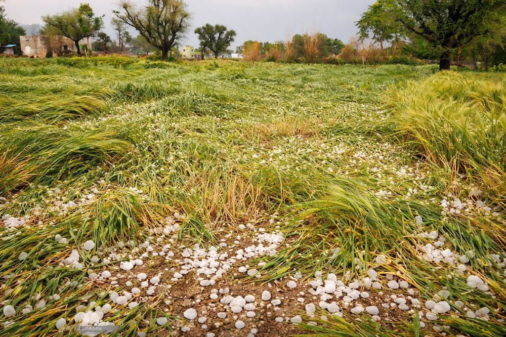 विनीत यादव सरपंच tweet media