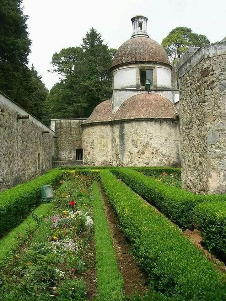 Mercedes Díaz tweet media