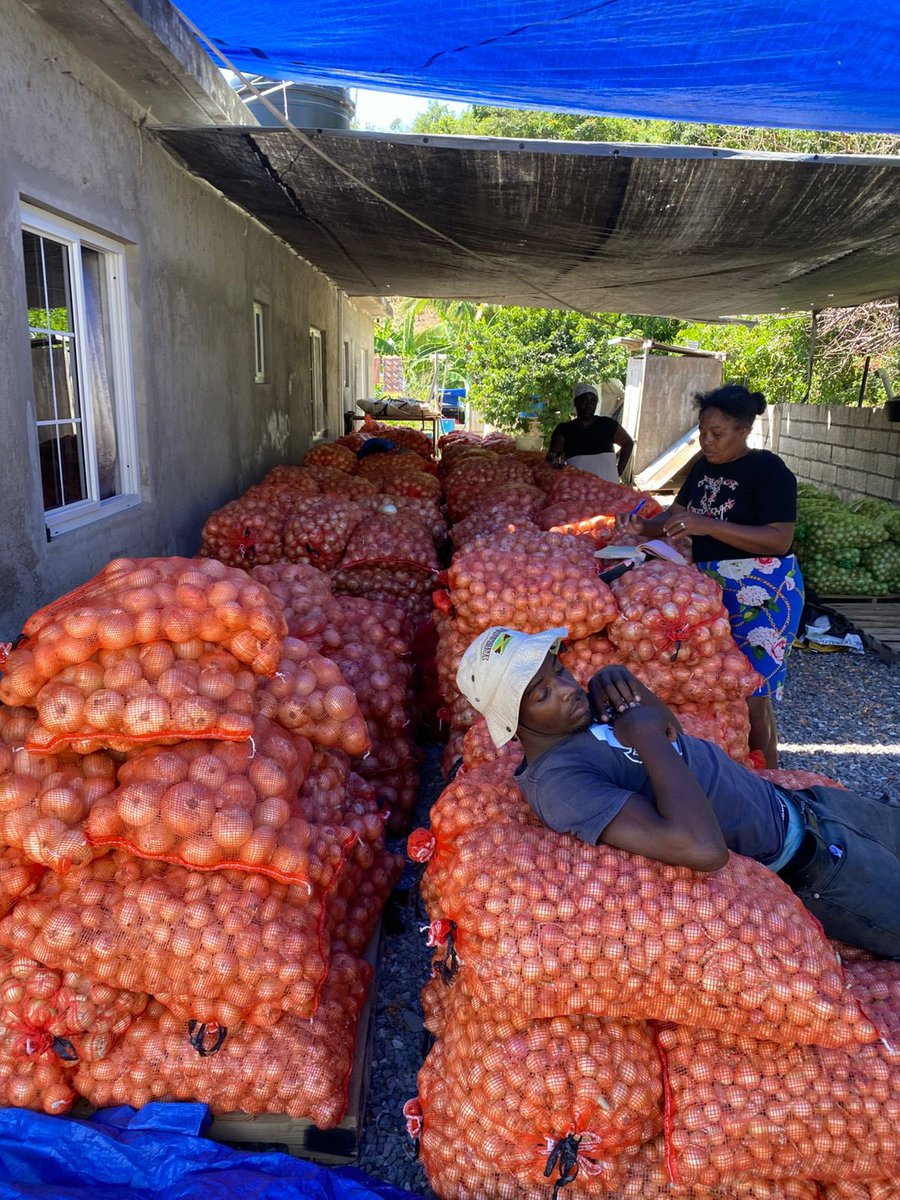 Floyd Green tweet media