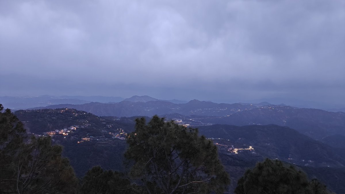 Professor Cardz tweet media