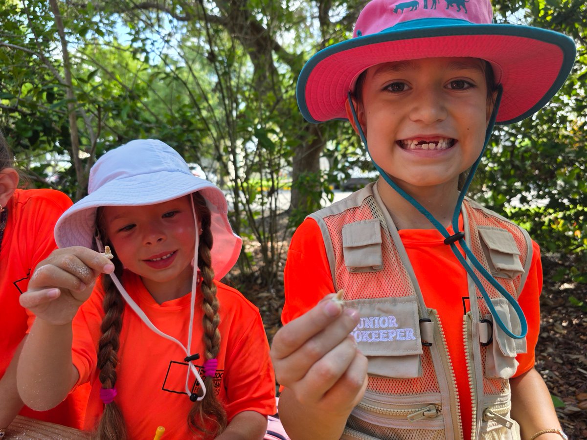 Zoo Miami tweet media