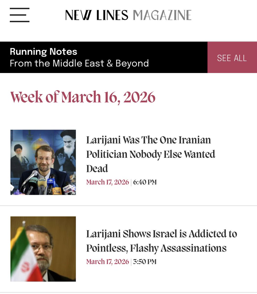 New Lines Magazine tweet media