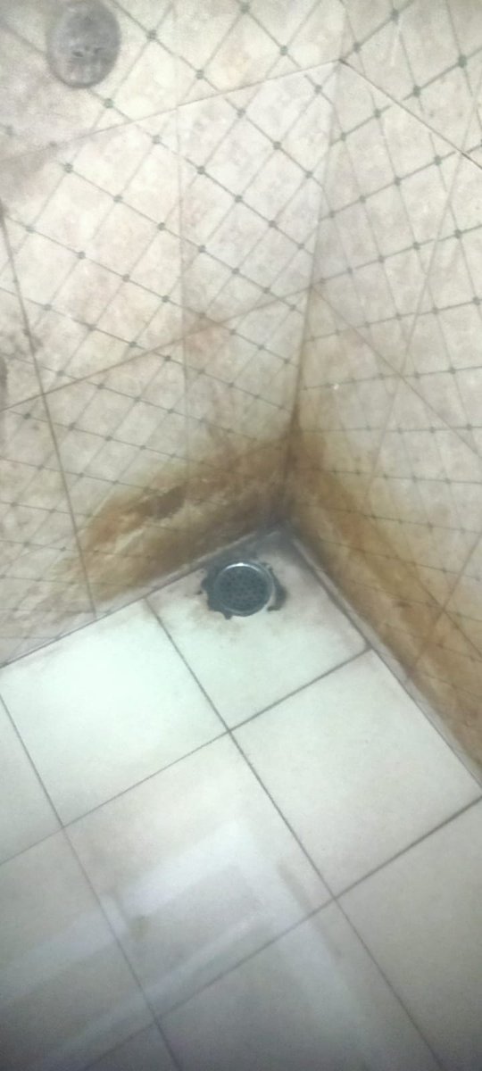 SRDEN(co)KUR tweet media