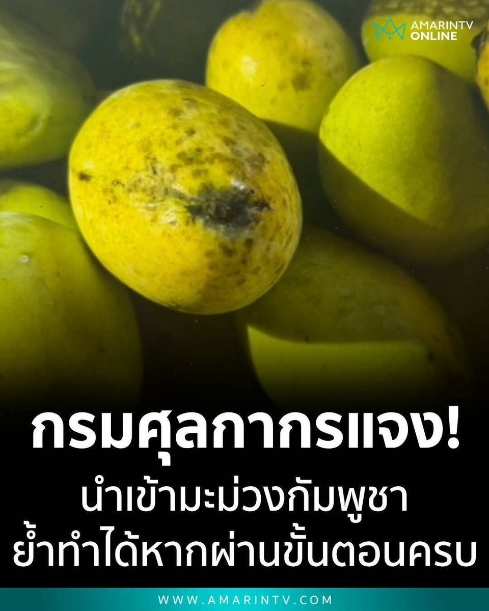 Bobthelove tweet media