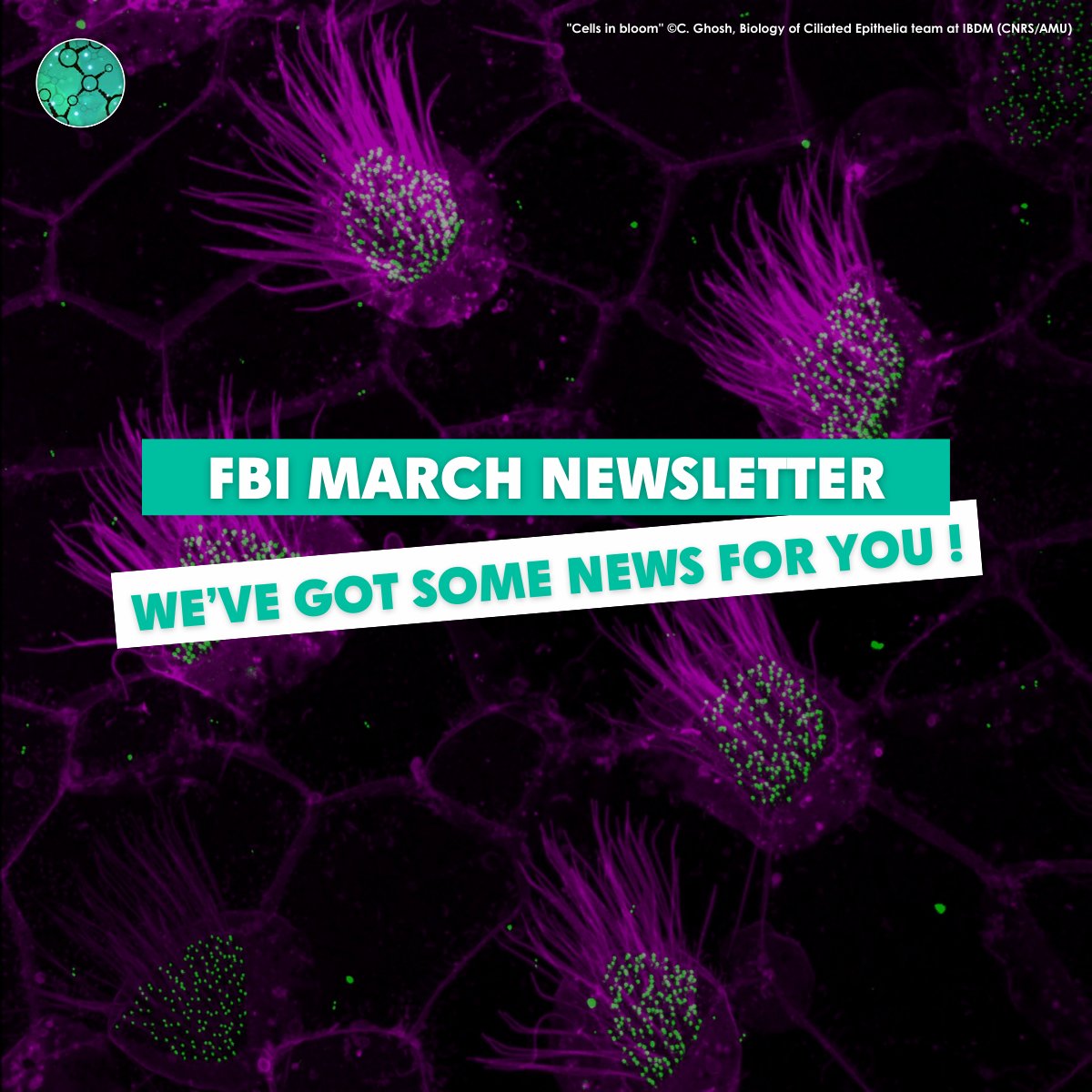 France-BioImaging Research Infrastructure tweet media