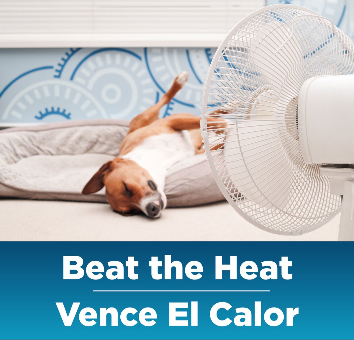 Marin Library tweet media