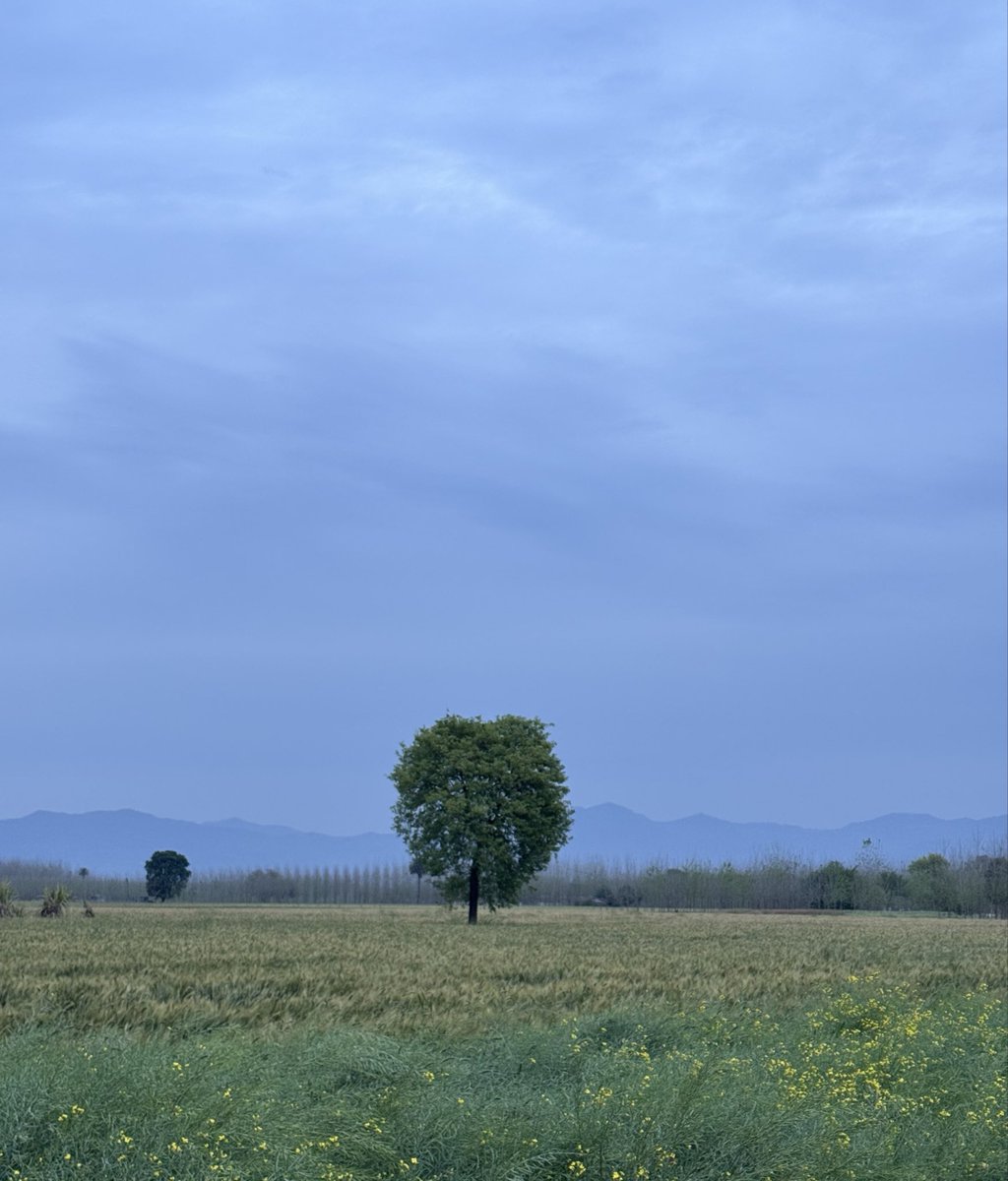 Jaskamal tweet media