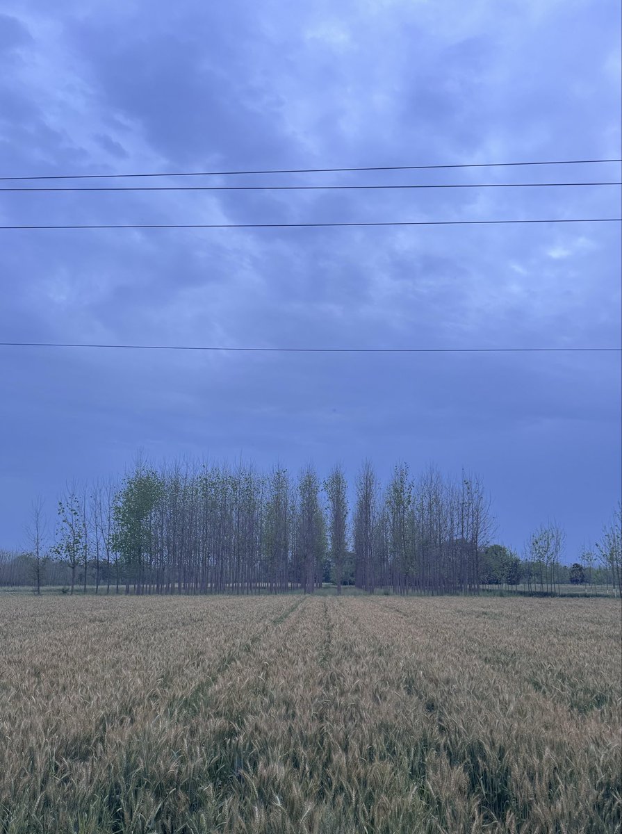 Jaskamal tweet media