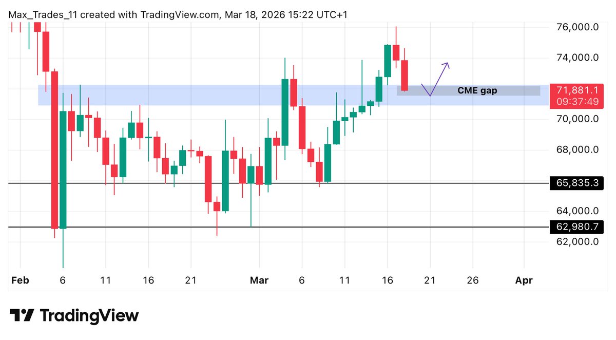 Max Trades tweet media