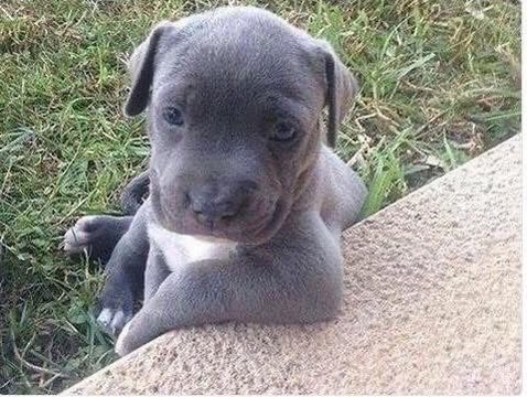 Sailor Xhavis tweet media