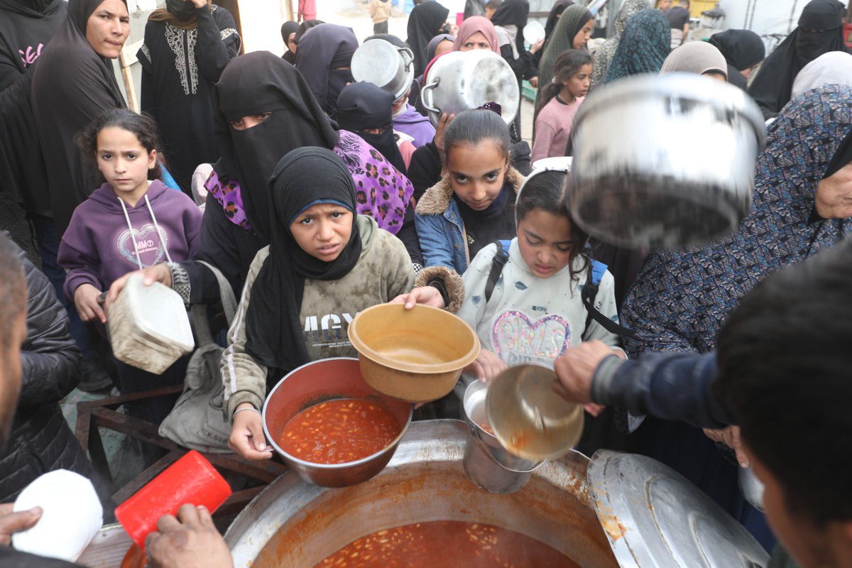 Motasem A Dalloul tweet media