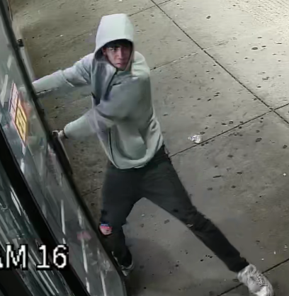 PGPDNEWS tweet media