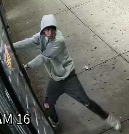 PGPDNEWS tweet media