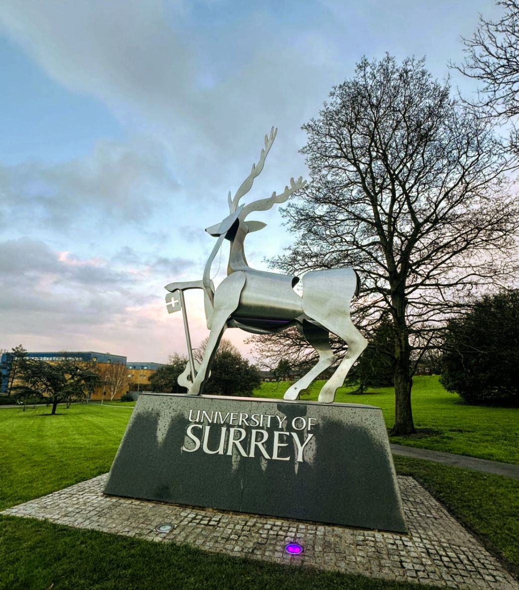 কণপাই বৰুৱা tweet media