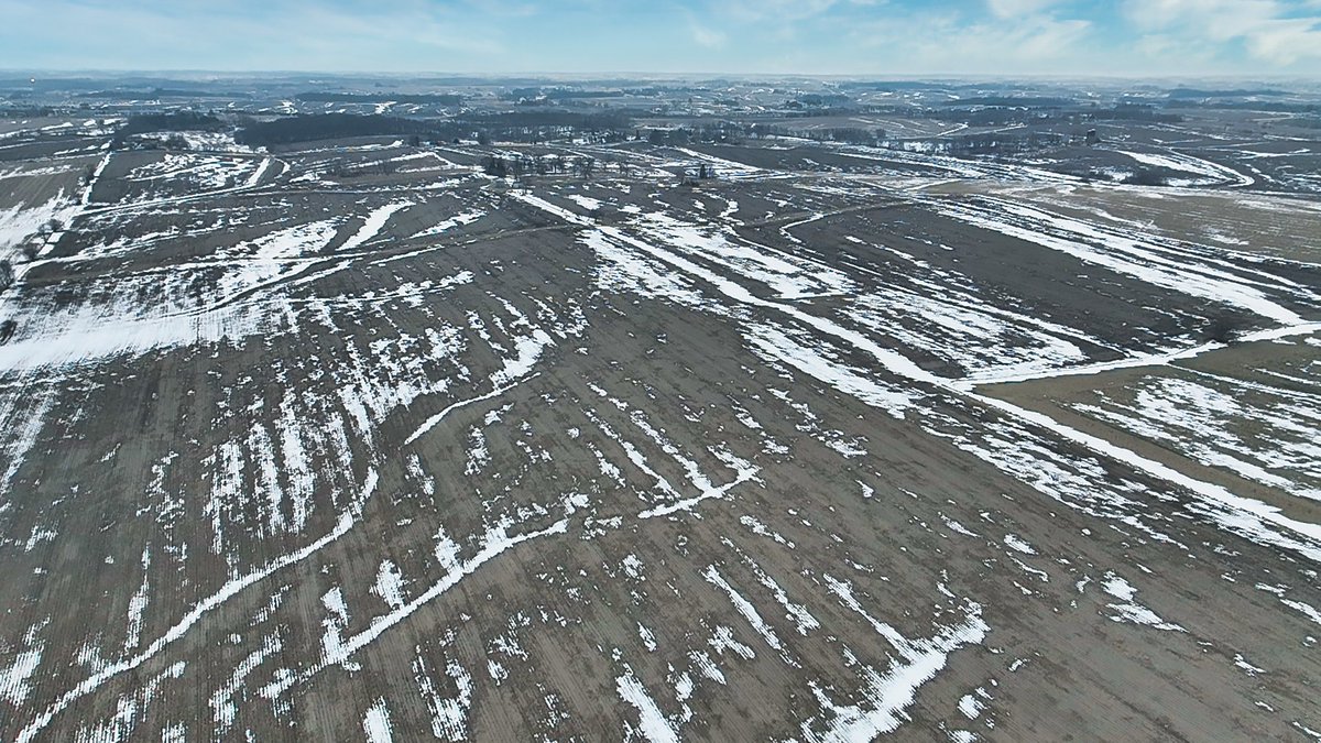 Whitaker Marketing Group tweet media