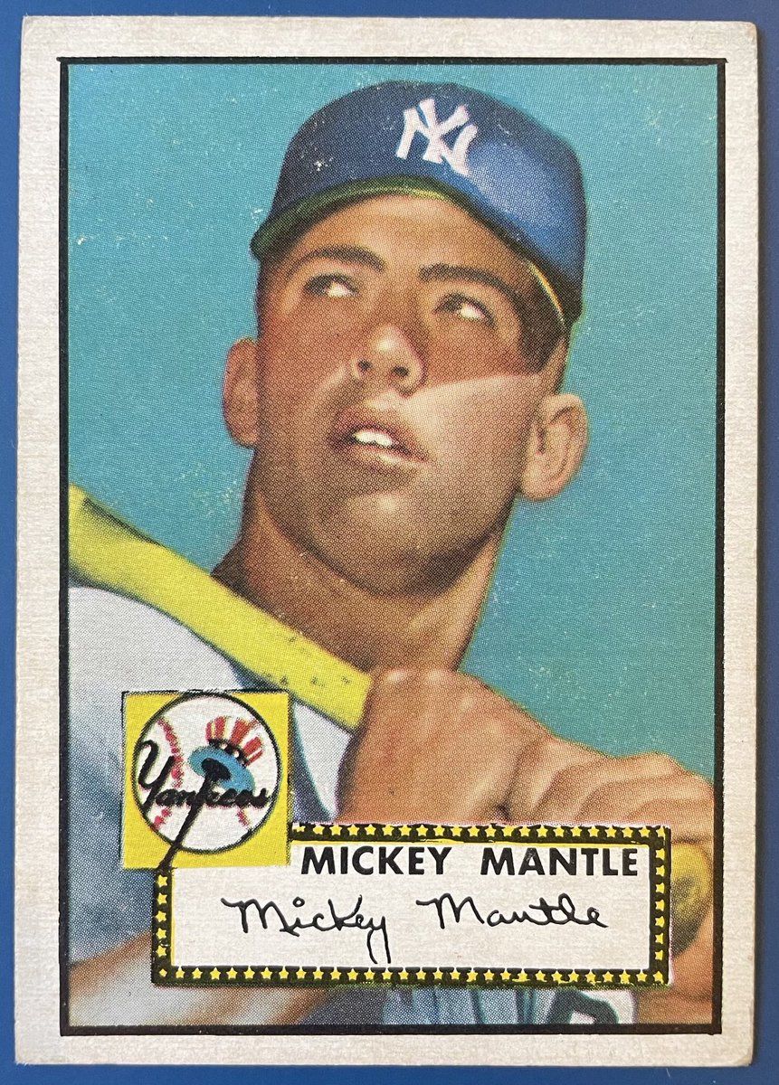 The 308 Collection tweet media