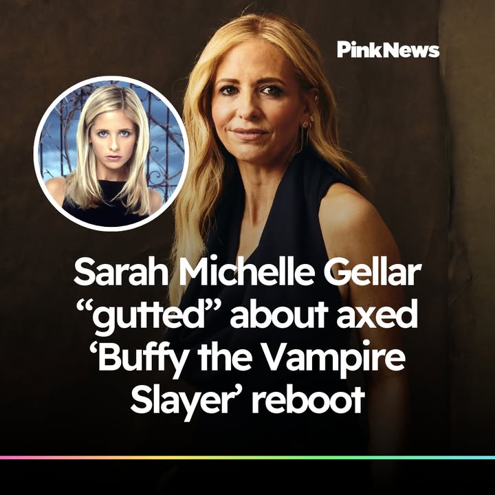 PinkNews tweet media