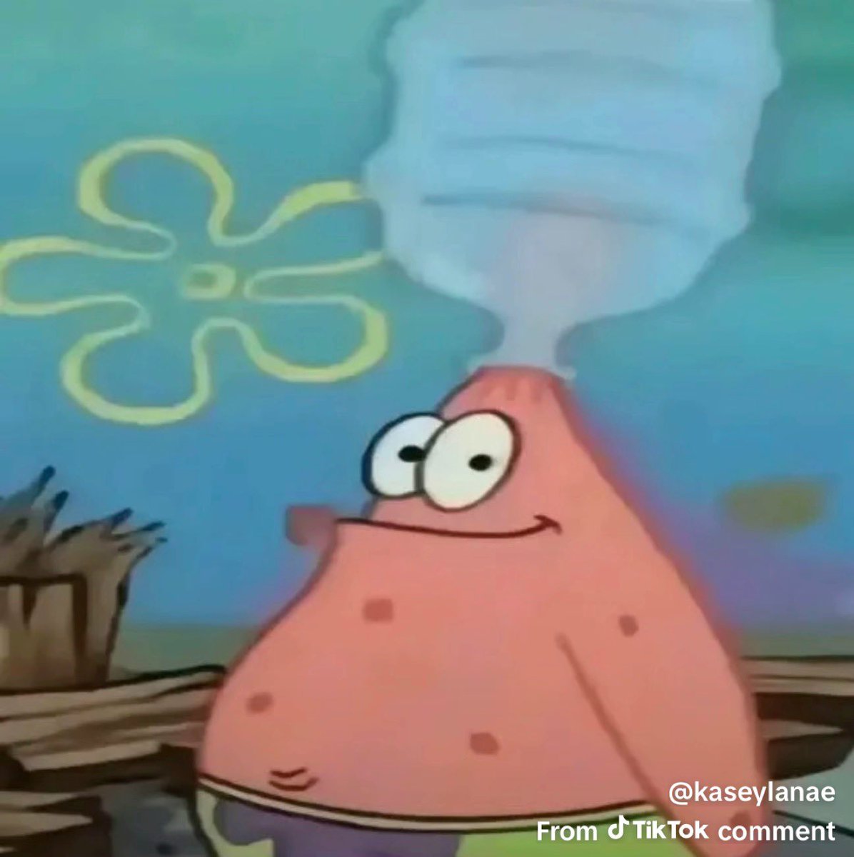 𝔥𝔱𝔱𝔭𝔰.𝔯𝔢𝔢𝔰𝔢 ☆ tweet media