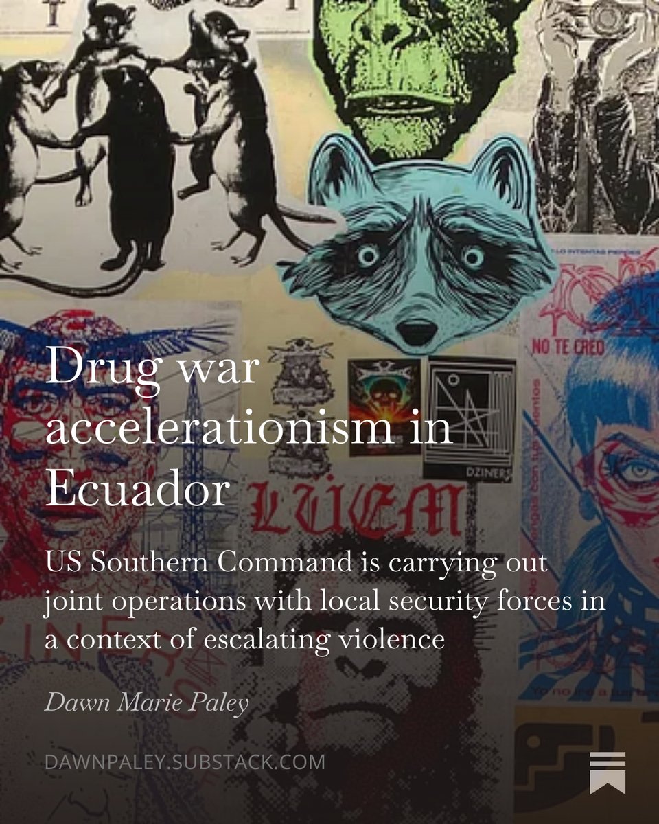 dawn marie paley tweet media