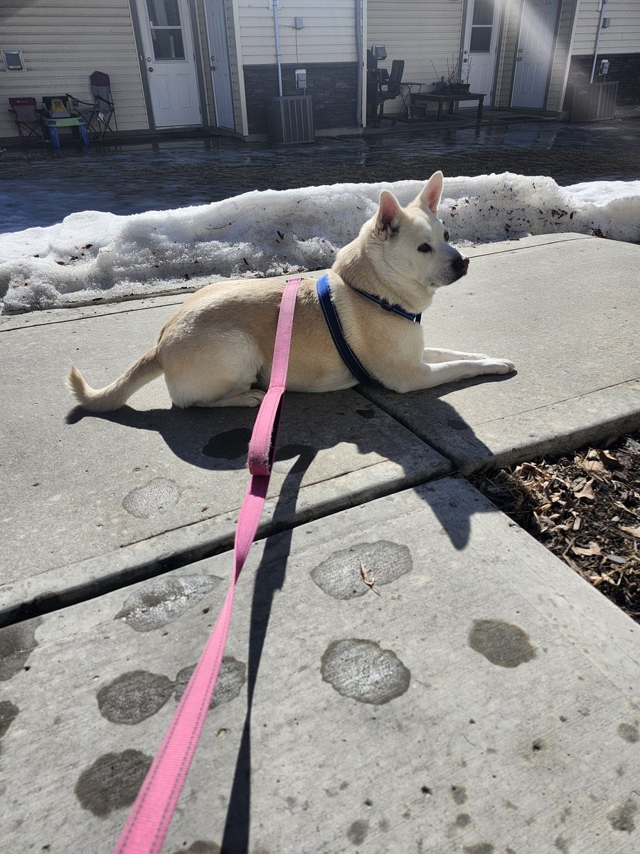 Alex Dormuth tweet media