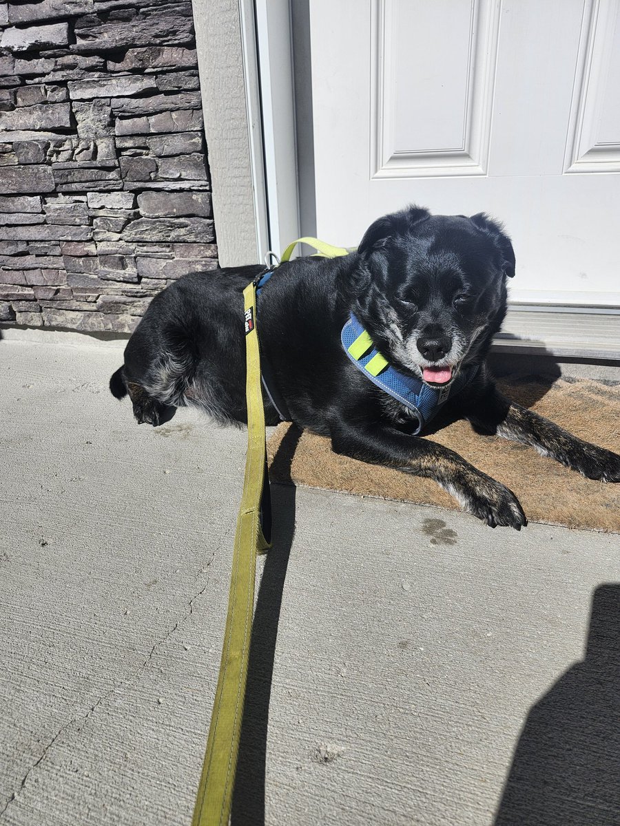 Alex Dormuth tweet media