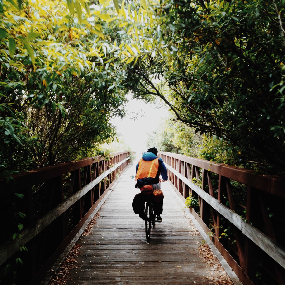 Kevin Kelly tweet media