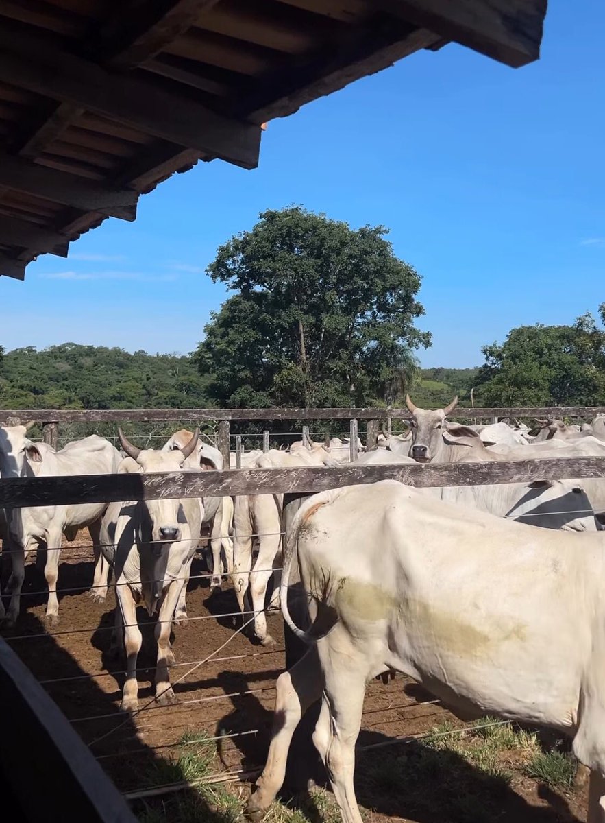 vini ࿈ tweet media